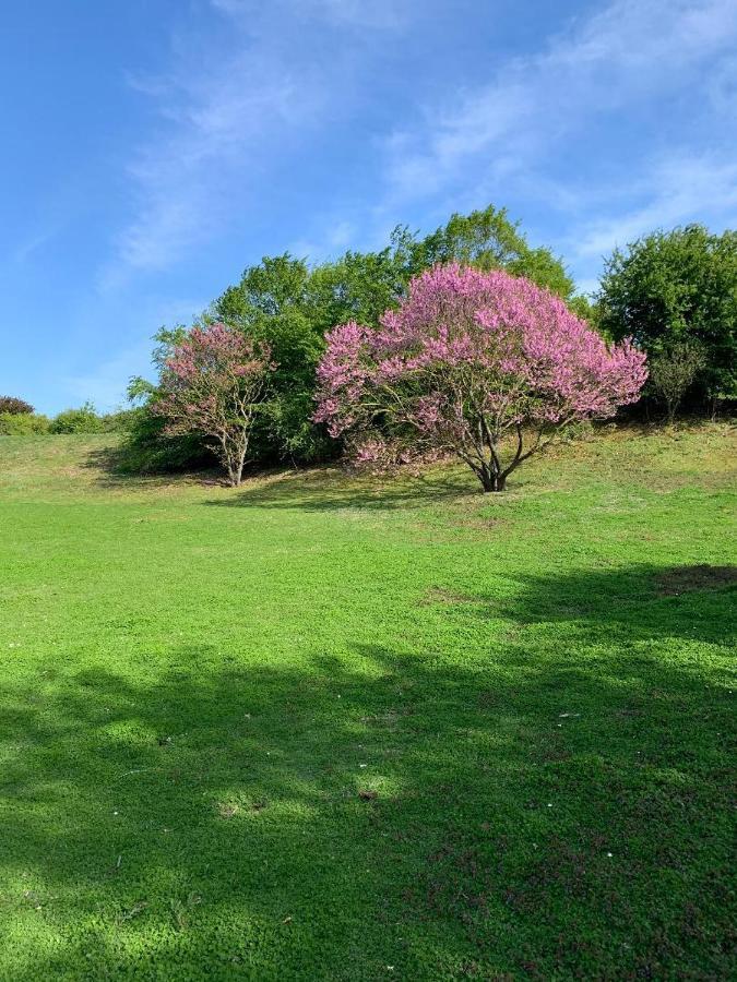Mella * La Courneuve